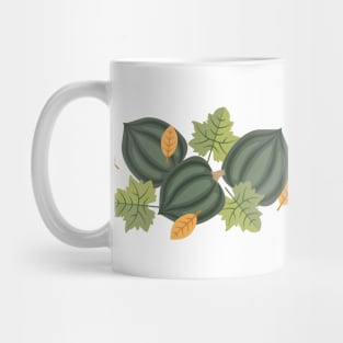 Acorn Squash Mug